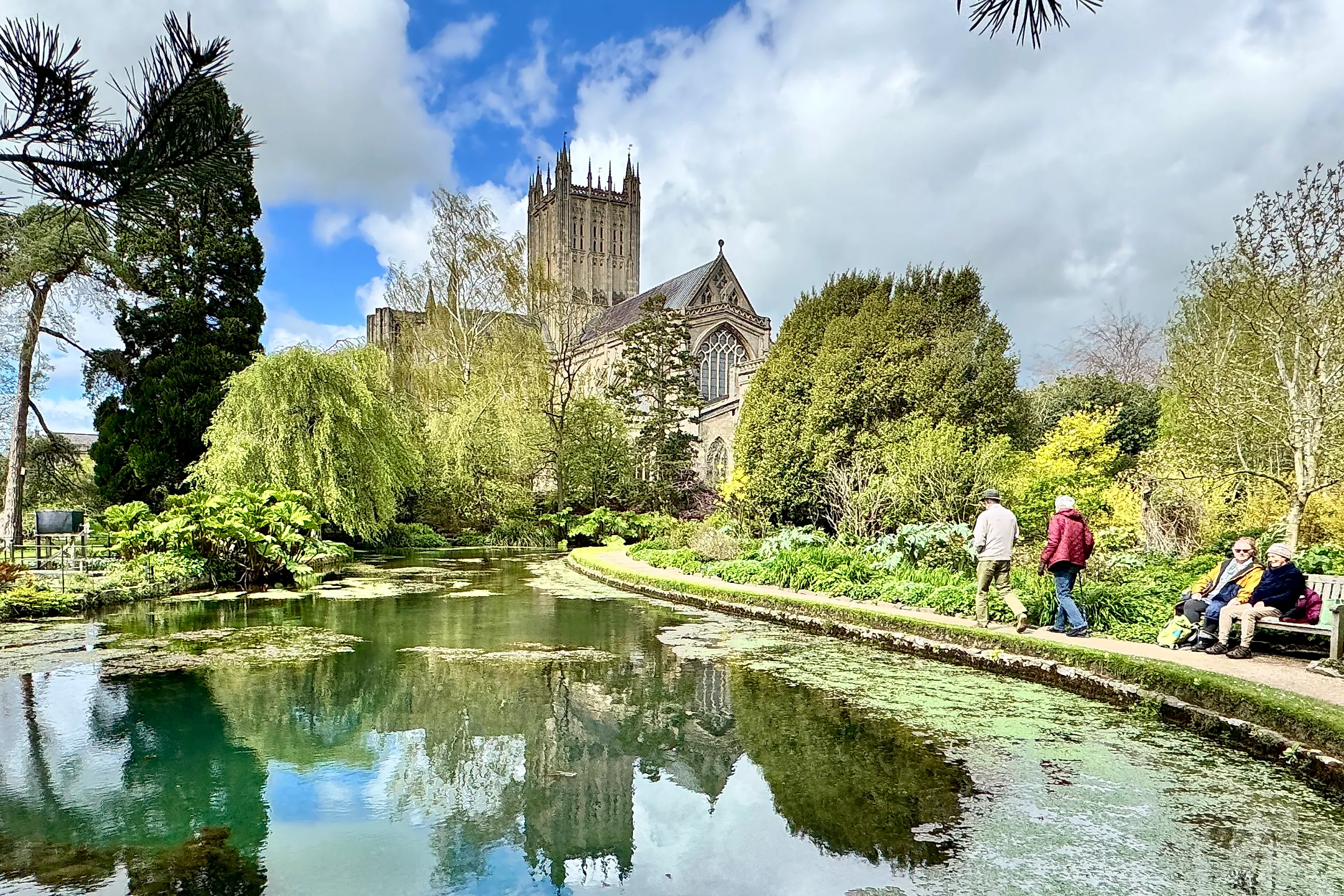 Wells in Somerset the Bishops Palace and Cathedral. Image credit: Bryan Dearsley