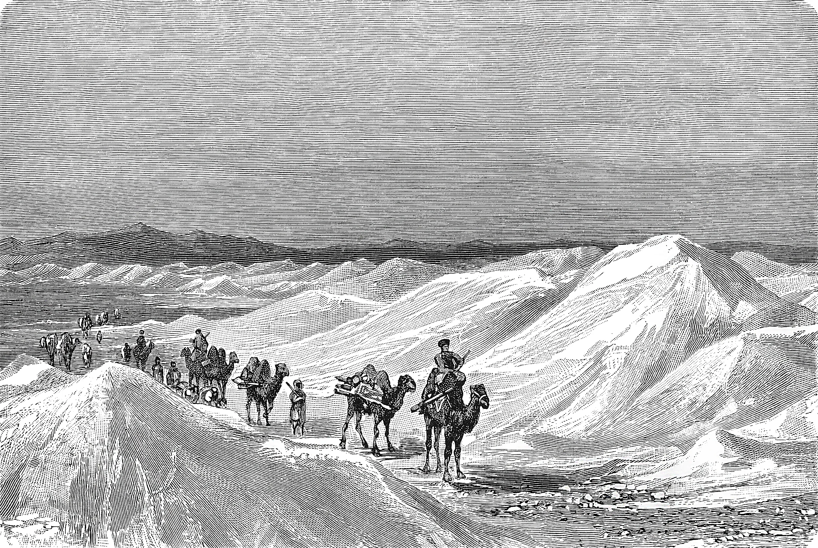 Mongolian Desert (Gobi) with Caravan