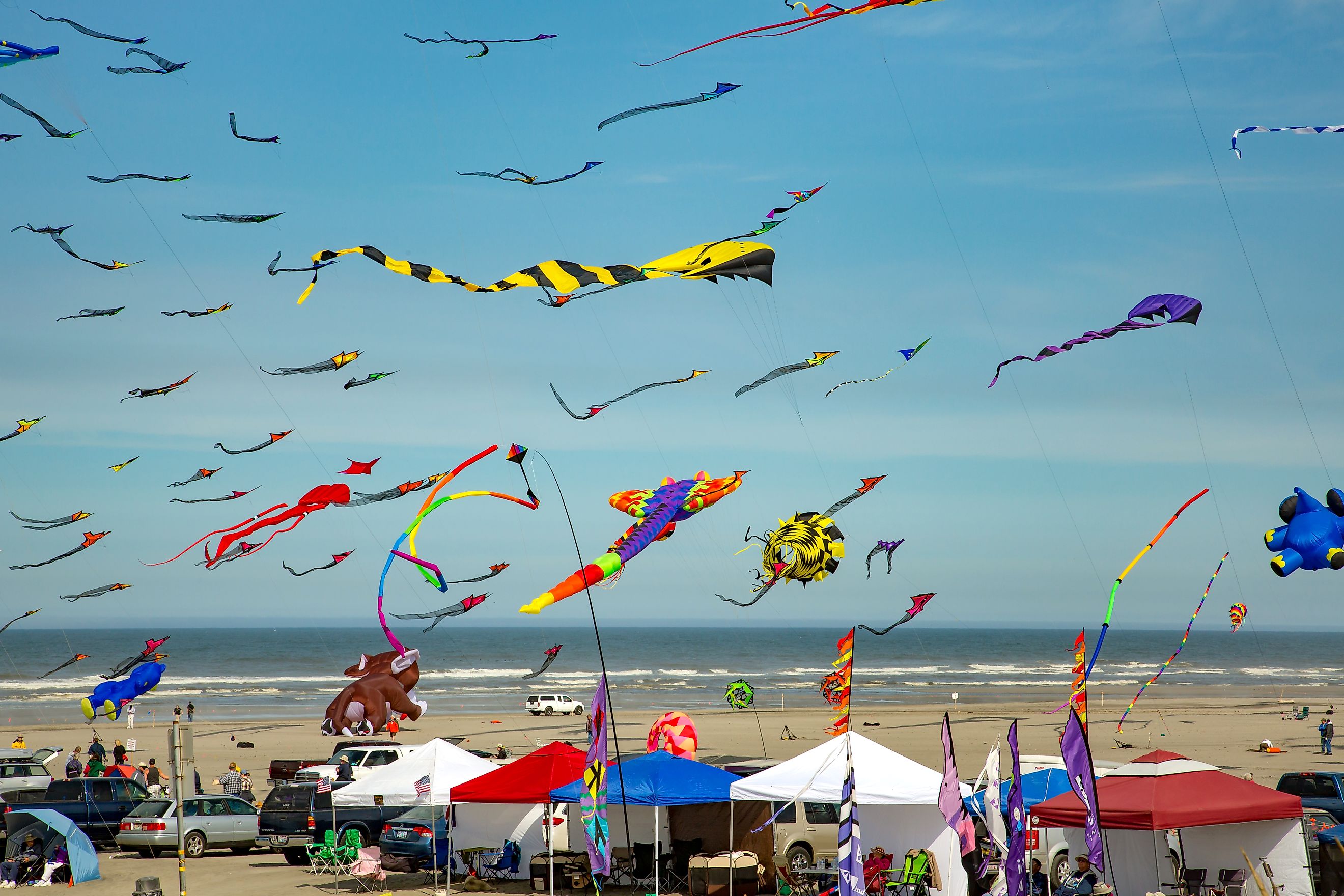 Washington State International Kite Festival at Long Beach. Image credit: Bob Pool / Shutterstock.com.