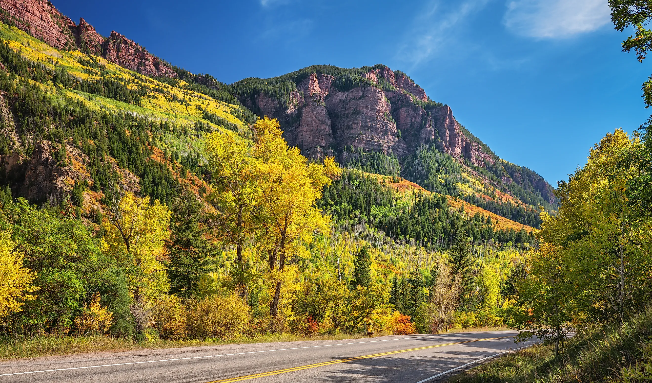 Golden autumn aspen near Redstone, Colorado on Scenic Highway 133	