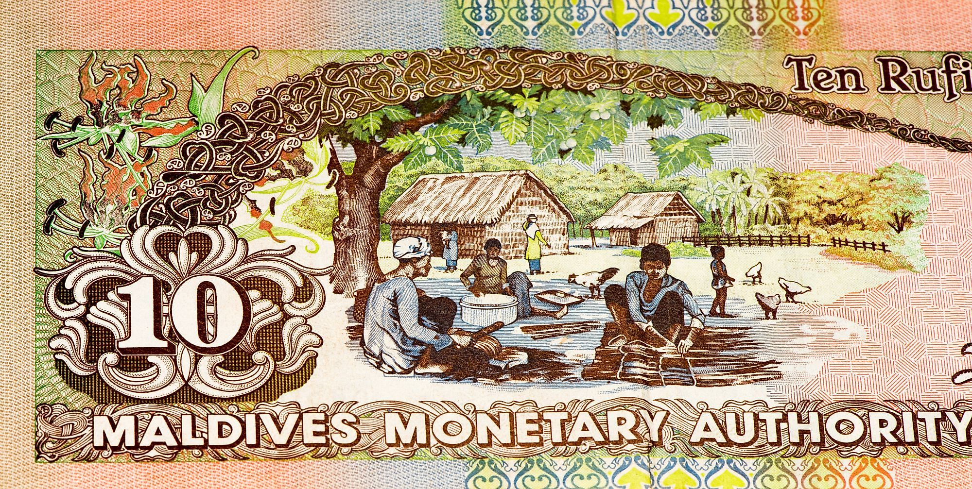 Maldivian rufiyaa coins and banknote.