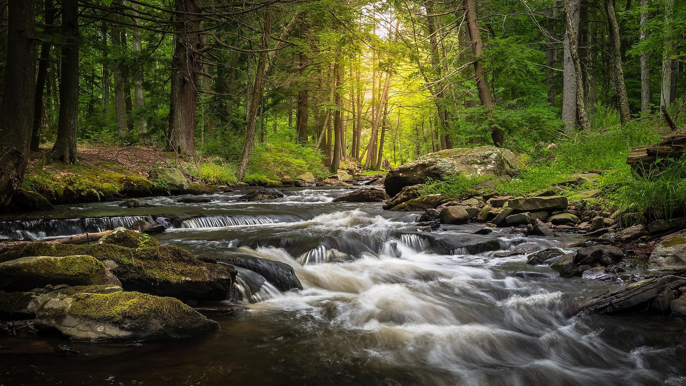 Dingman's Creek at George W. Childs State Forest Park in Dingman's Ferry, PA