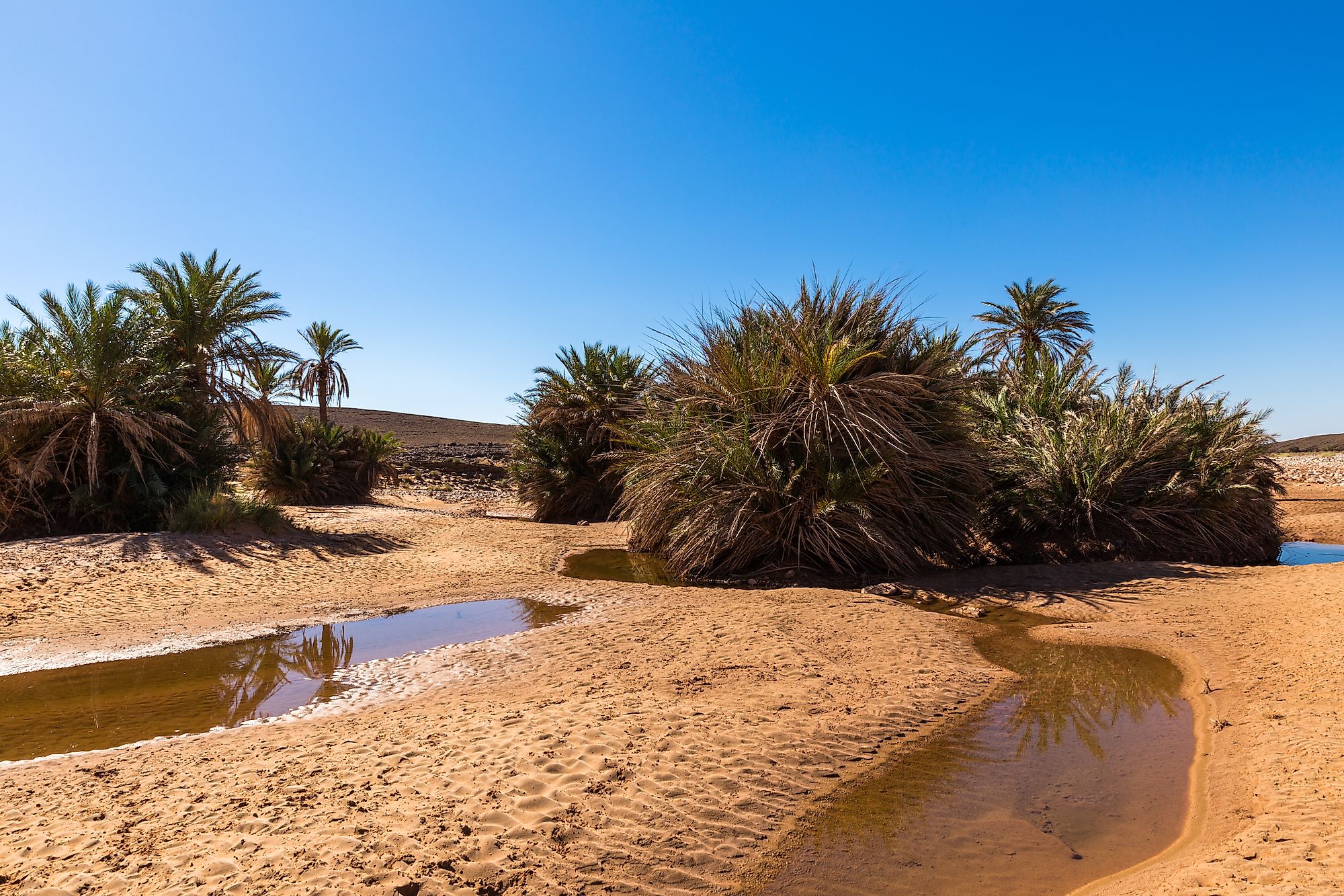 Water is one of the rarest resources in a desert. Image credit: Mikhail Priakhin/Shutterstock.com