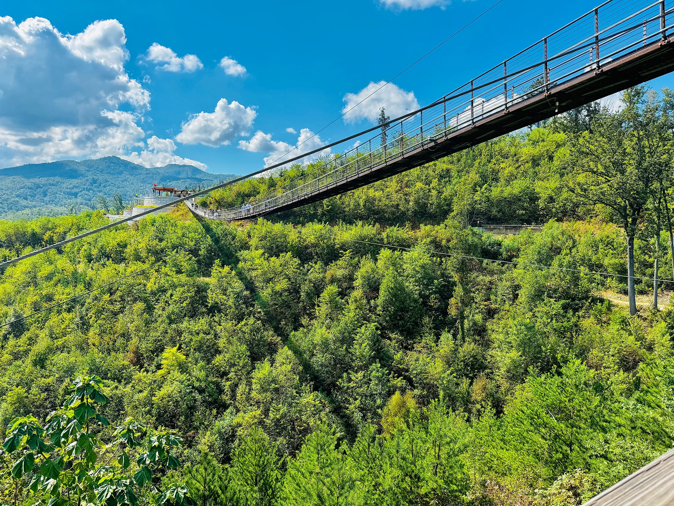 Beautiful Sky Bridge in Gatlinburg, Tennessee with Mountains and Nature. Credit: g.hanna6/Shutterstock.com