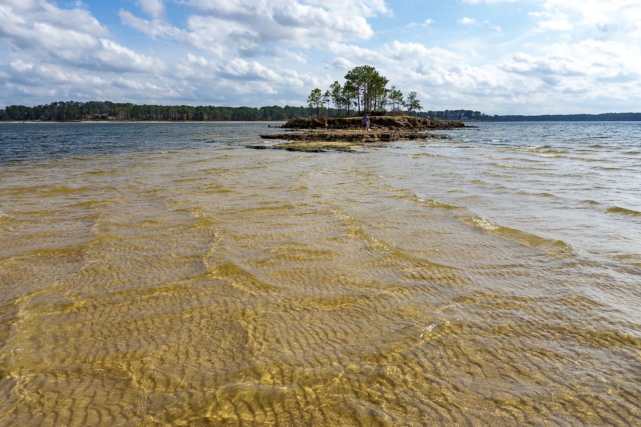 Beautiful islands in Sam Rayburn reservoir in Texas. 