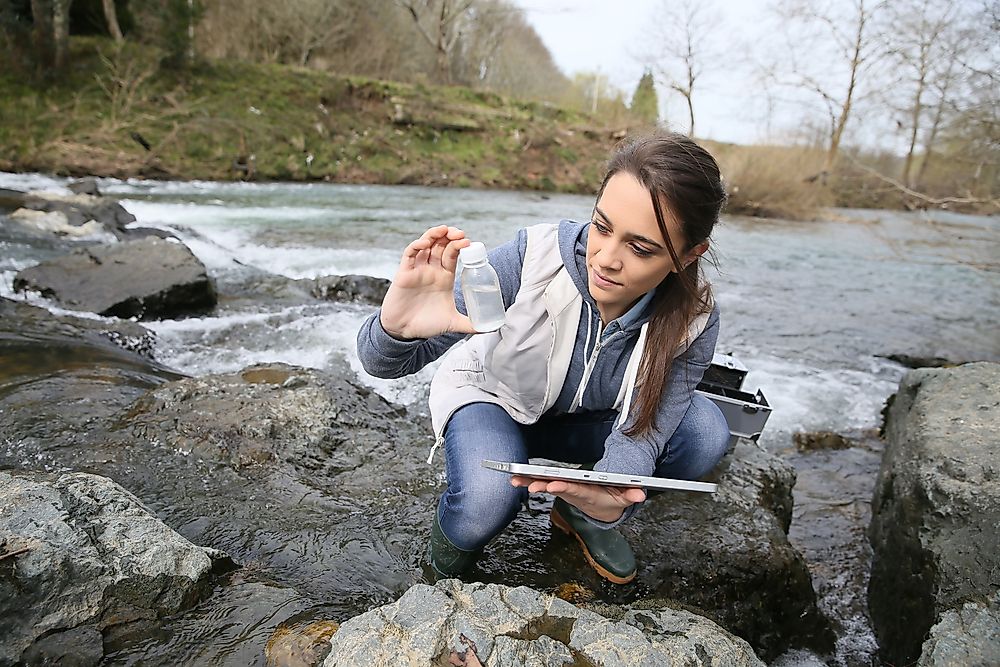 An ecologist studies a river.