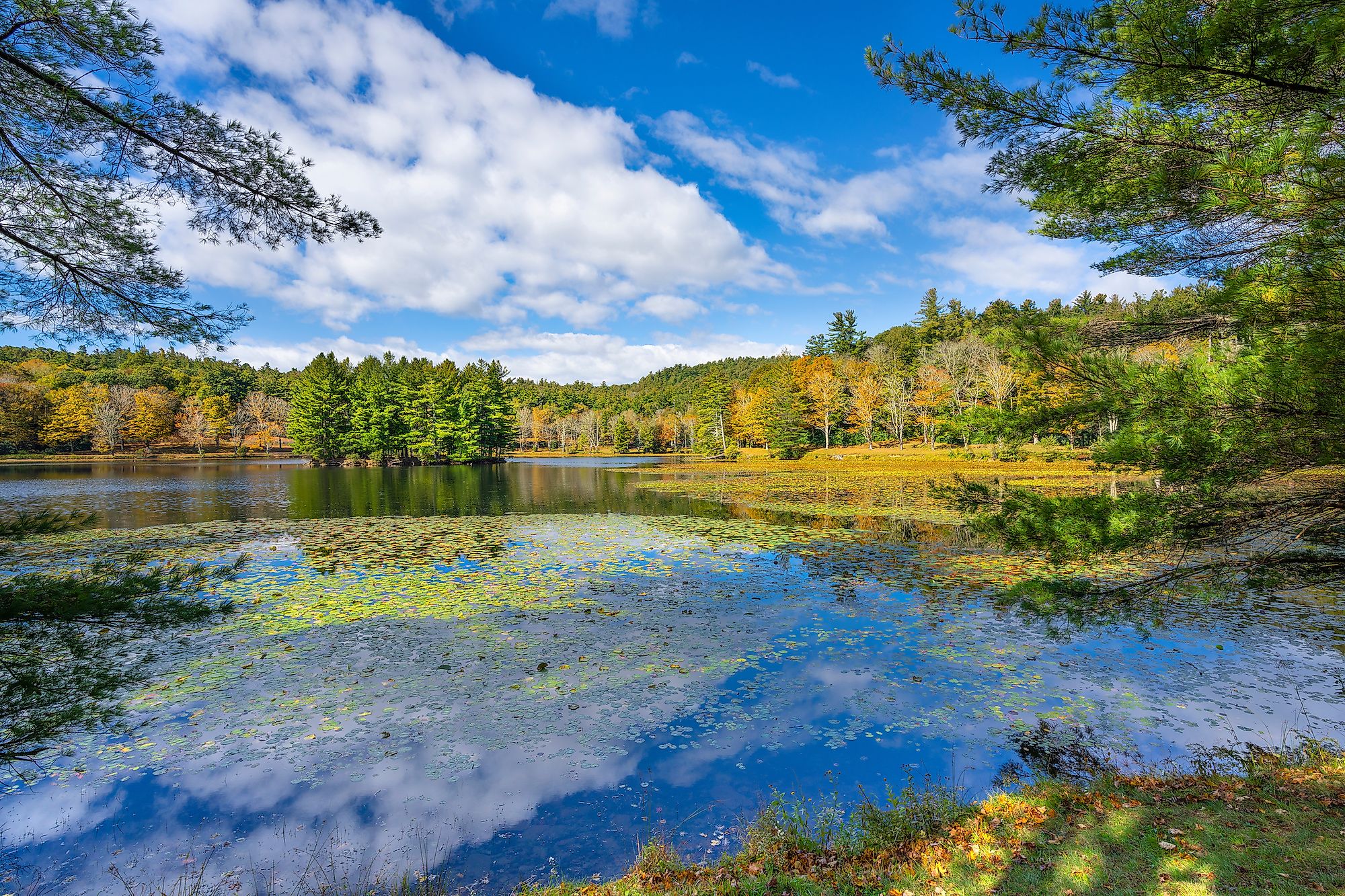 The beautiful Bass Lake in North Carolina.