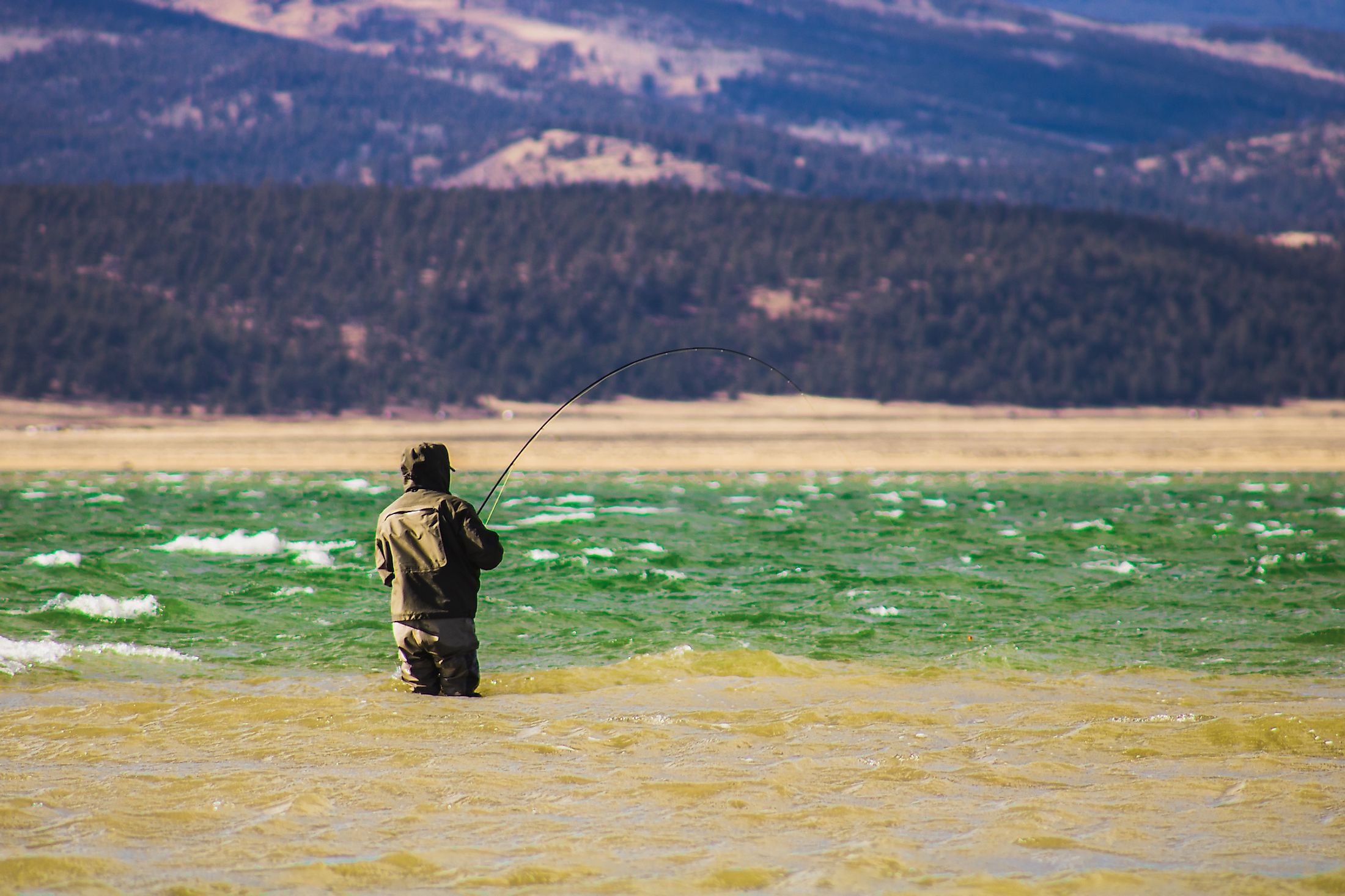 A fisherman fly fishing at the Antero Reservoir in Colorado. 