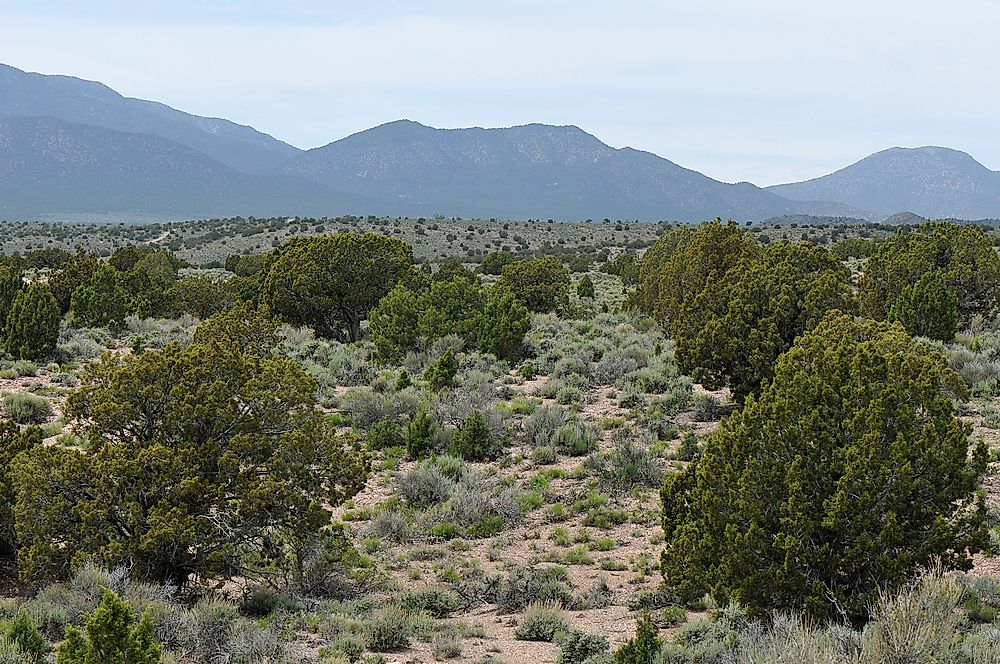 The Great Basin desert.