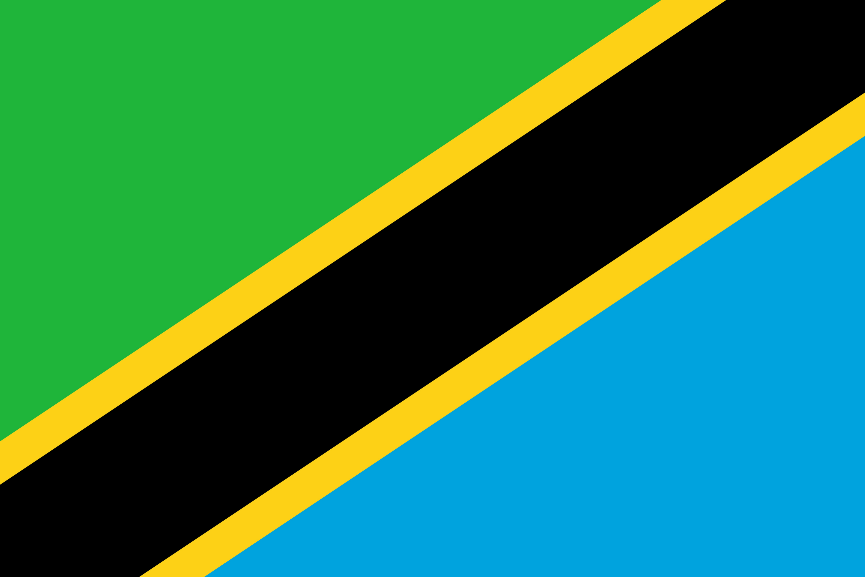 The flag of Tanzania.