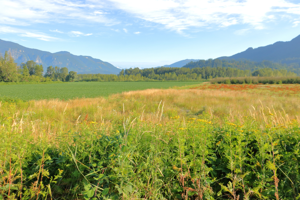 Indigenous tribe members were allocated land by federal law.