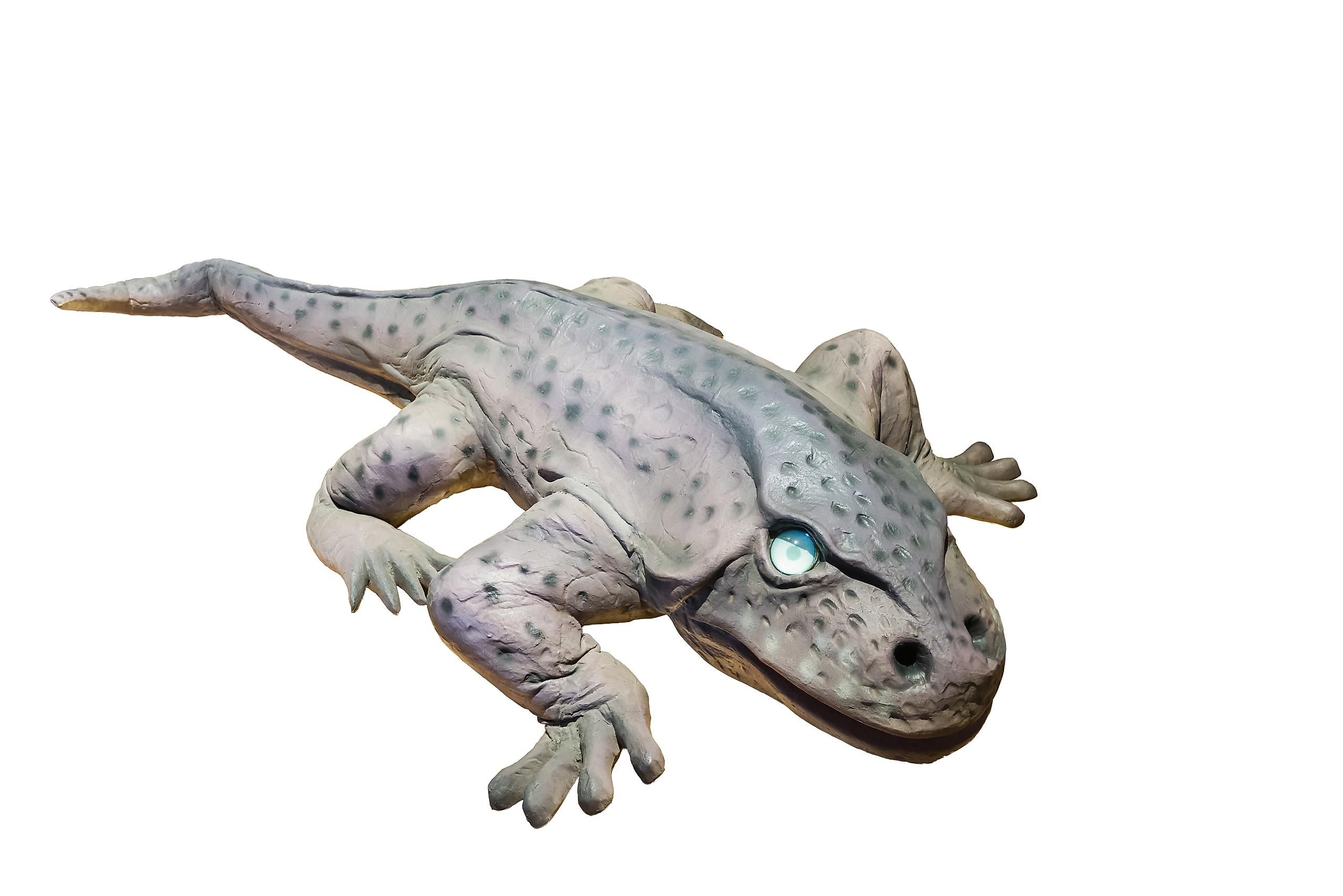 Temnospondyls, from which the modern amphibians originated.