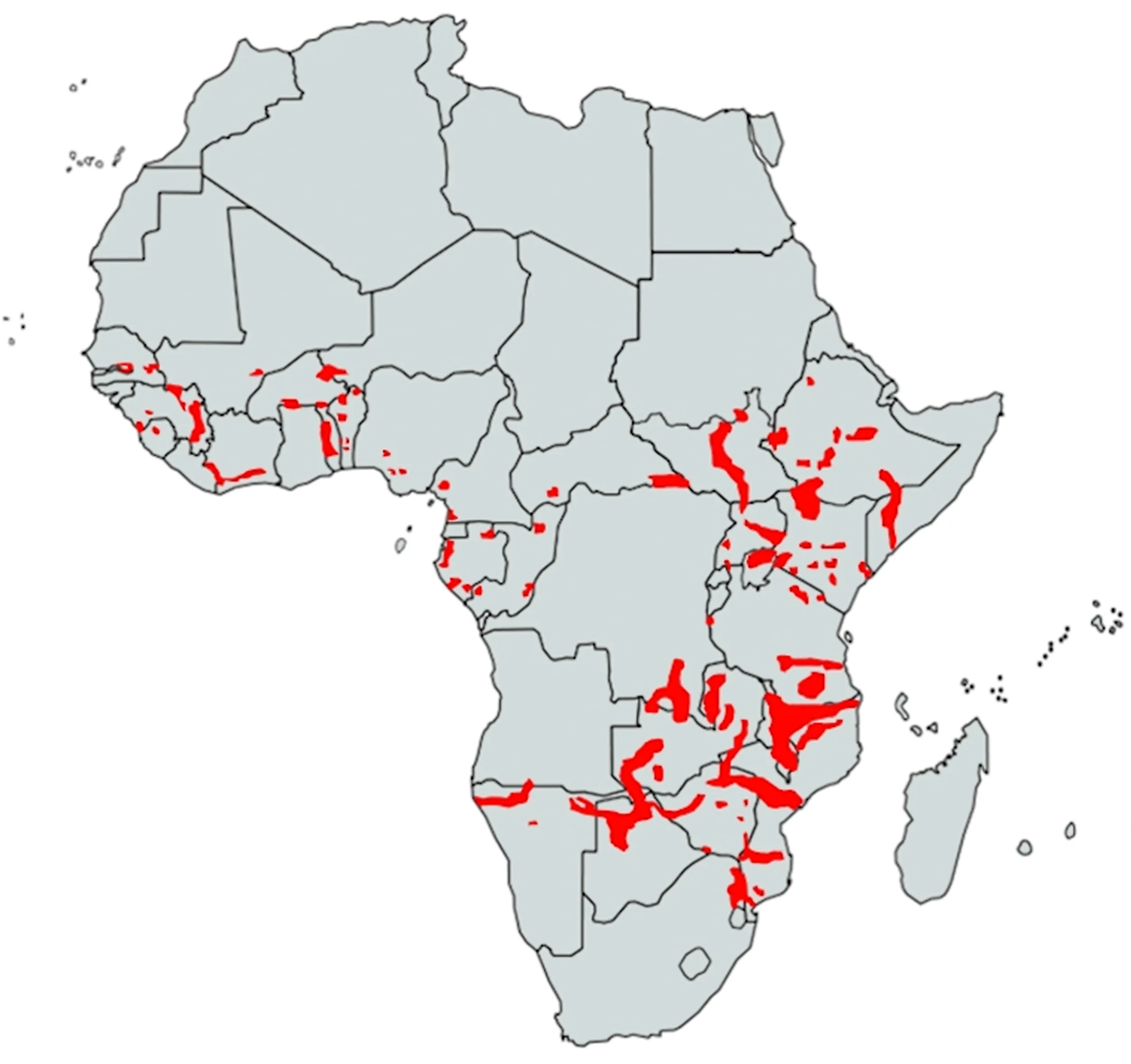 Hippopotamus Facts WorldAtlas