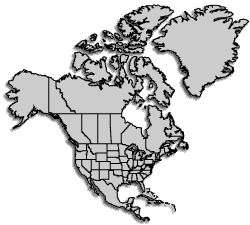 north america