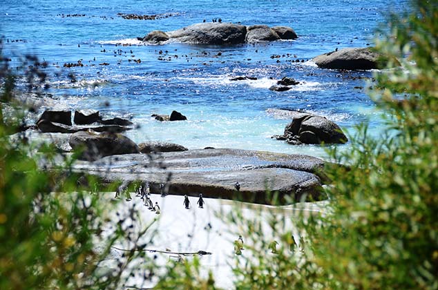 boulder beach view