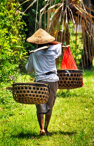 bali
