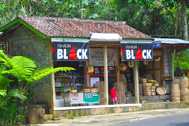 bali