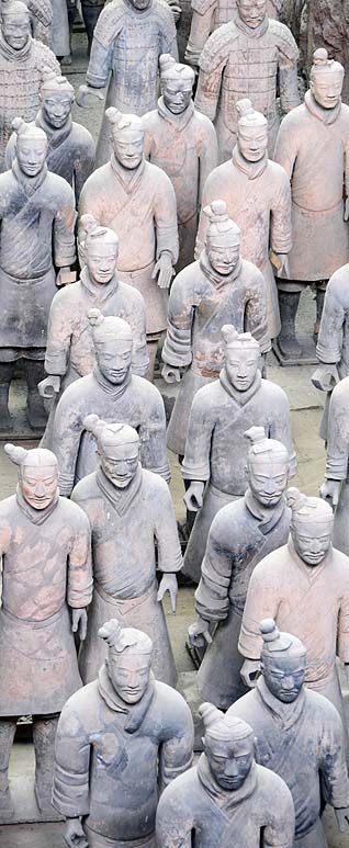 terra warrior group