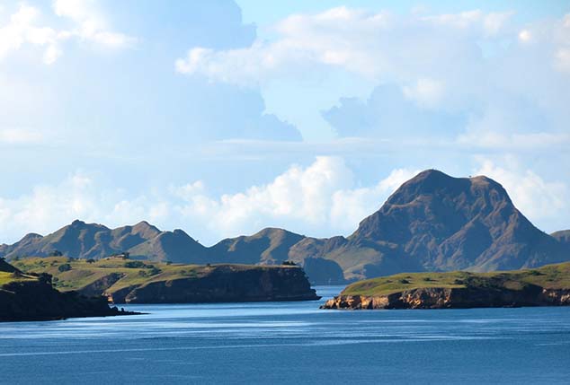 Law Of The Jungle Komodo Dragon ~ Worldatlas.com | zapzee
