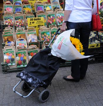 flower market