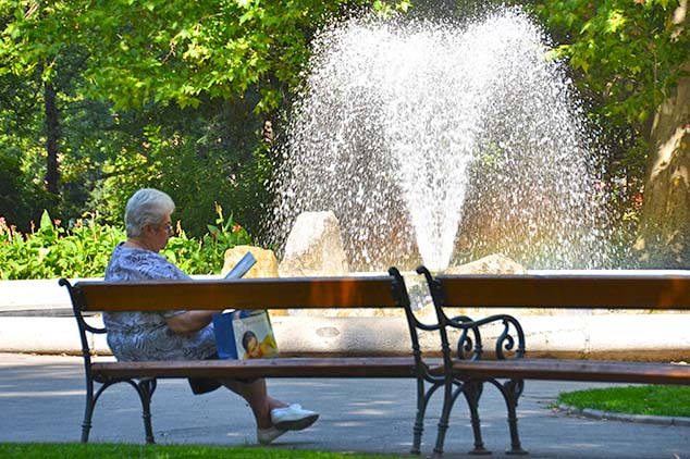 sunday in the park vienna