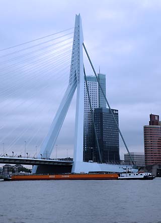 Erasmus Bridge