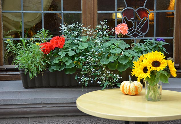 flower box miltenberg germany