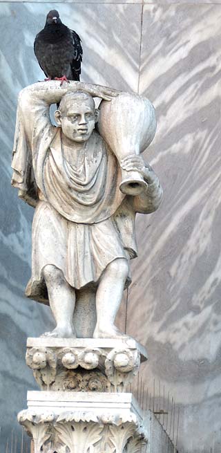 pigeon on statue venice