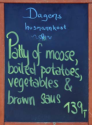 moose patty norway