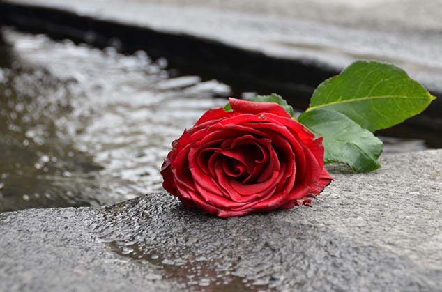 red rose molde norway