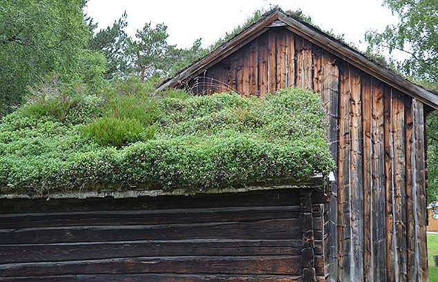 thatched roof molde norway