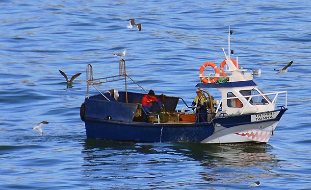 fishing boats lisbon