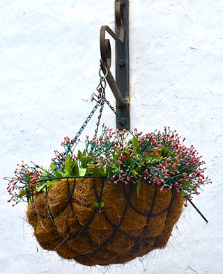 hanging basket of flowers Vejer de la Frontera spain