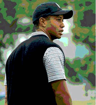 Tiger Woods