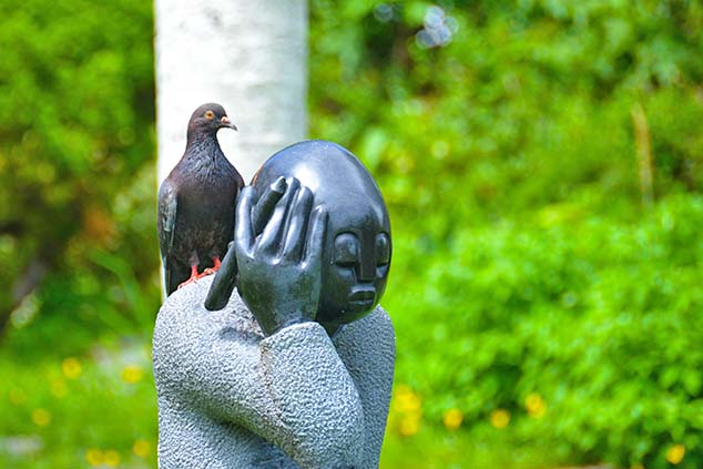 thre pigeon bermuda