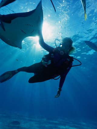 Diving at Stingray City on Grand Cayman, Grand Cayman, Grand Cayman, Cayman Islands