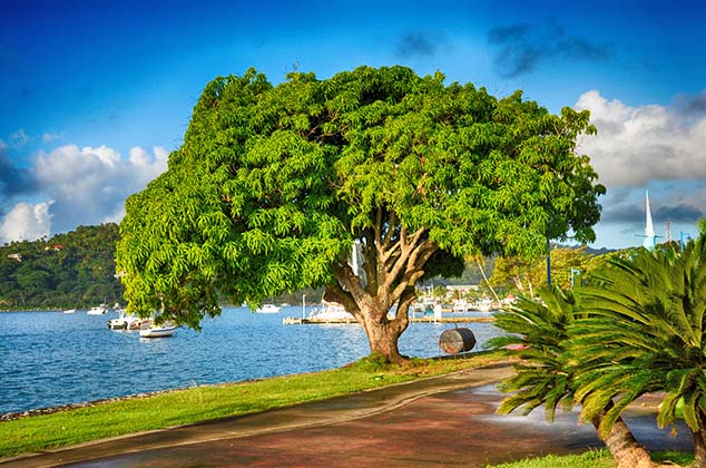 samana