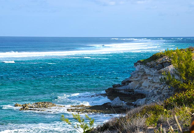 coastline grand turk