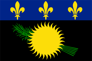 Unofficial Flag of Guadeloupe