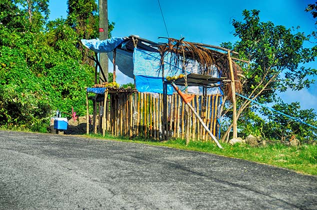 road side stand st. lucia