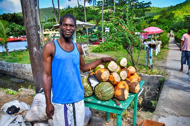 coconuts bequia