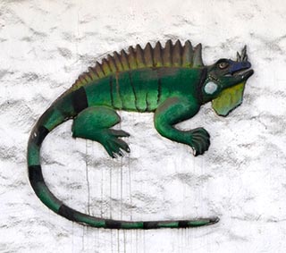 lizard sign puerto vallarta mexico