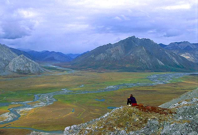 arctic national wildlife refuge alaska