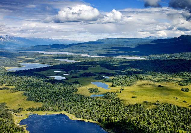 denali tundra lakes