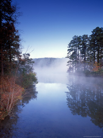 morning fog, arkansas