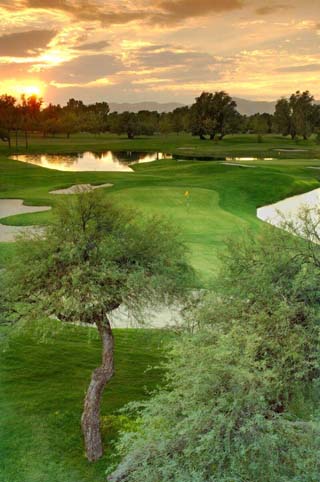 wigwam golf resort