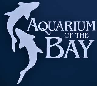 aquarium by the bay san francisco
