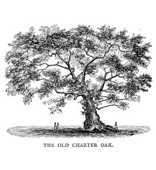 old charter oak