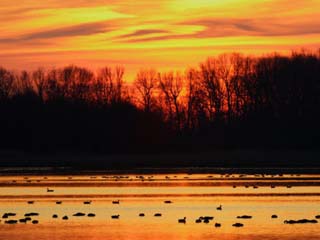 Scene at Bombay Hook National Wildlife Refuge, Delaware