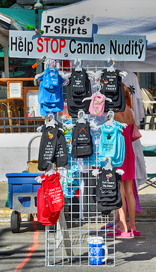 canine clothes key west